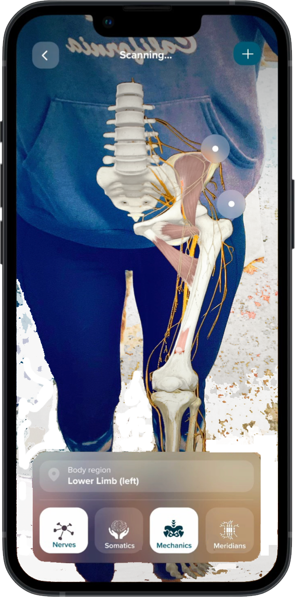 Mineral In Body scanning the lower limb in augmented reality